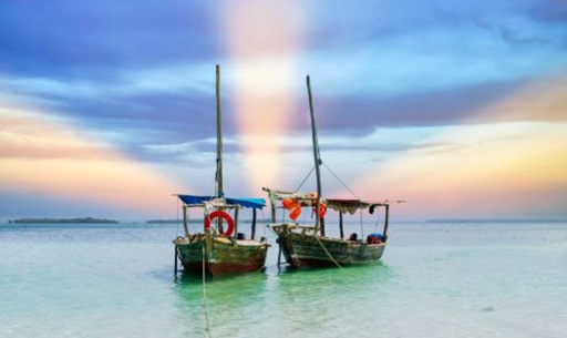 21073f9d-2e26-56d7-a0d2-cfa31264bb88 (1)