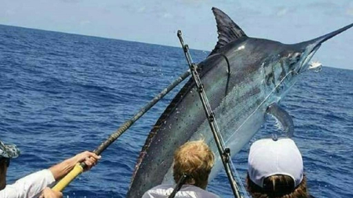 47ab3b50-1588-55c8-bdf6-7b07effab014