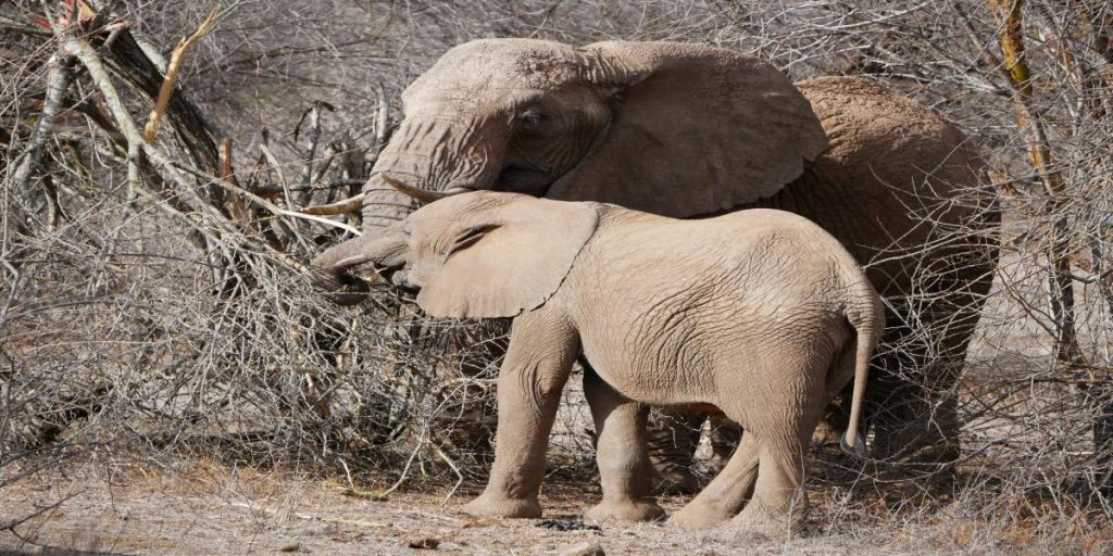 XResize_20260203161303346