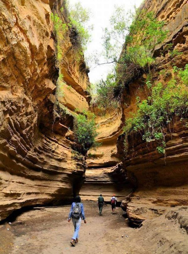 9 Incredible Safari Memories Travelers Love to Share