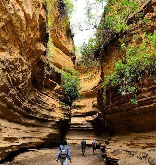 9 Incredible Safari Memories Travelers Love to Share