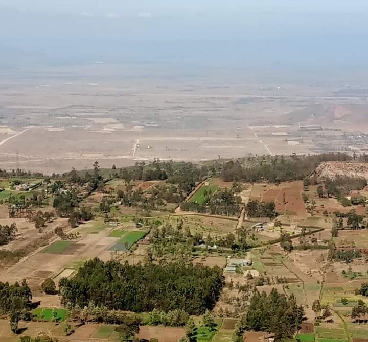 10 Powerful Reasons Guided Safaris Beat Self-Drive Adventures