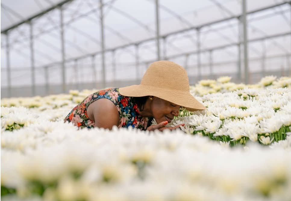 Kenya Flower Farm Tour Experience – Agro Tourism in Kenya