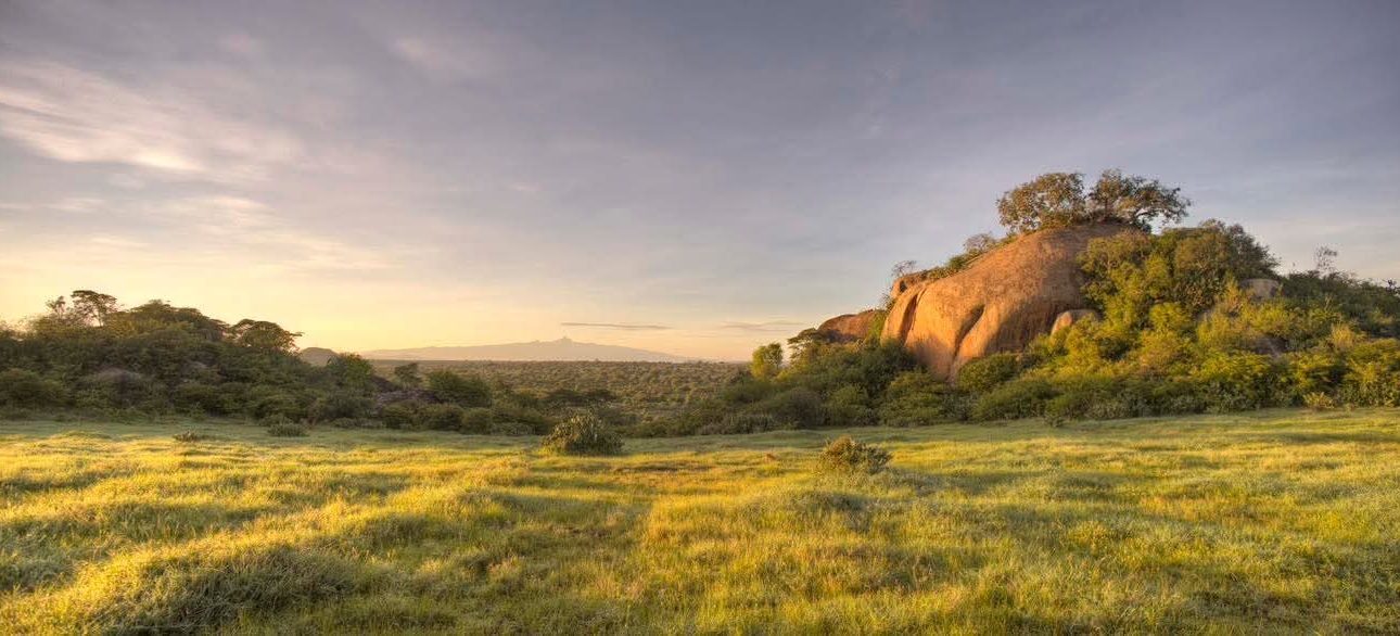 Safaris in Untouched Nature: 9 Kenya Moments to Chase