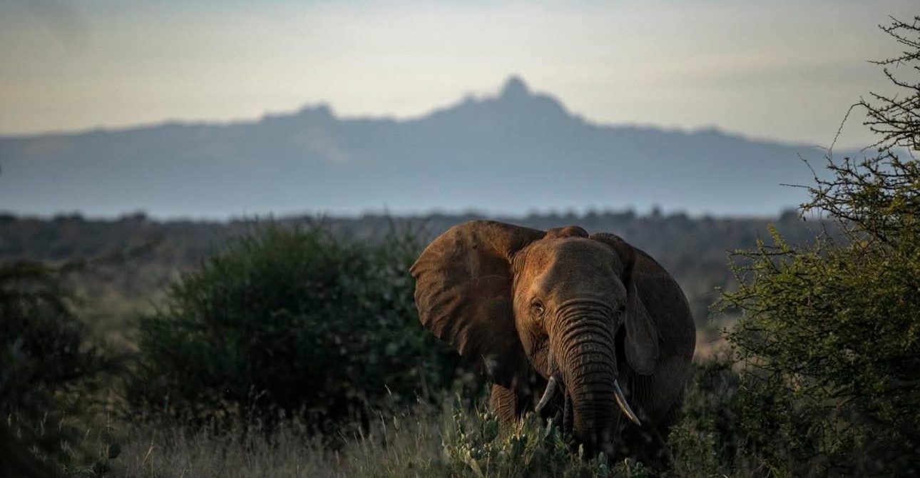 Exclusive Africa Adventure: 9 Luxury Kenya Moments