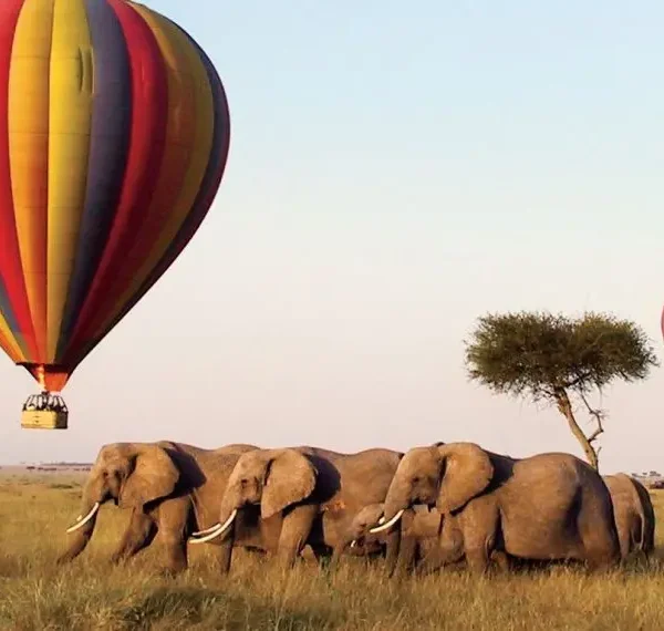 Hot air balloon safari 7 Maasai Mara Great Migration