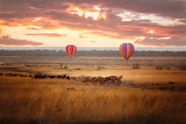 Kenya’s Greatest Hits: A Guide to the Landmarks You Can’t Skip