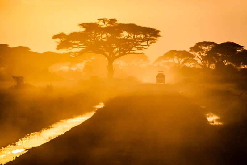 Kenya Tour: 9 Luxury Safari + Beach Moments