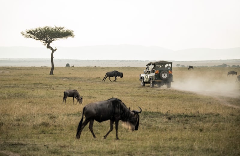 Serengeti great migration 2026 dates: 7 Best Windows