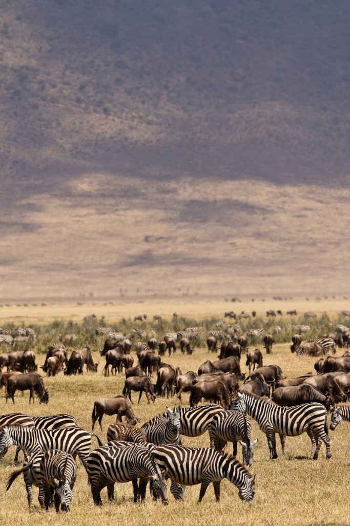 Kenya Must-Sees